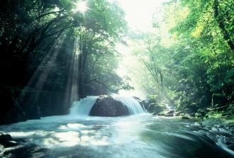 Kikuchi Gorge