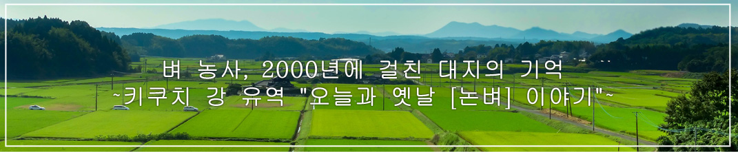 ~벼 농사, 2000년에 걸친 대지의 기억 키쿠치 강 유역 오늘과 옛날 [논벼] 이야기~를 읽자