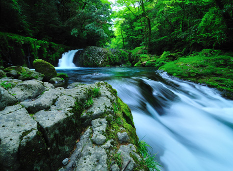 Kikuchi Gorge