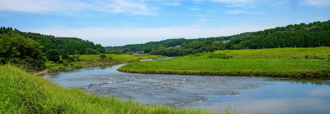 The origins of rice farming in the Kikuchi River Basin